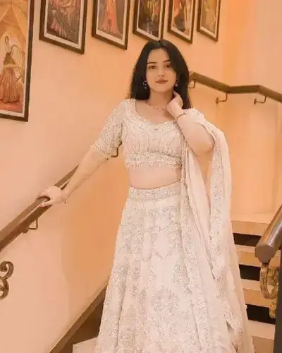 Escort Service In Ajni